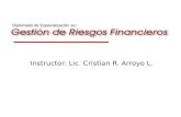 Instructor: Lic. Cristian R. Arroyo L. Diplomado de Especialización en: