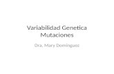 Variabilidad Genetica Mutaciones Dra. Mary Dominguez.