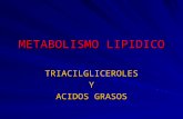 METABOLISMO LIPIDICO TRIACILGLICEROLESY ACIDOS GRASOS.