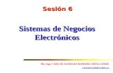 Sesión 6 Sistemas de Negocios Electrónicos Ms. Ing. CARLOS AURELIO ROMERO SHOLLANDE caromerosh@yahoo.es.
