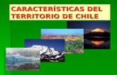 CARACTERSTICAS DEL TERRITORIO DE CHILE. UBICACI“N CARTOGRFICA UBICACI“N CARTOGRFICA