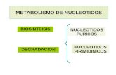 METABOLISMO DE NUCLEOTIDOS BIOSINTEISIS DEGRADACION NUCLEOTIDOS PURICOS NUCLEOTIDOS PIRIMIDINICOS.