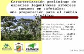 Caracterización preliminar de especies leguminosas arbóreas comunes en cafetales: una preparación para el cambio climático 24 May 2012 Wilson Espinales,