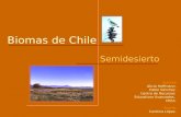 Biomas de Chile Semidesierto Autores Alicia Hoffmann. Pablo Sánchez. Centro de Recursos Educativos Avanzados, CREA. Diseño Carolina López.