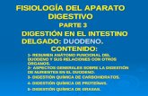 FISIOLOGÍA DEL APARATO DIGESTIVO PARTE 3 DIGESTIÓN EN EL INTESTINO DELGADO: DUODENO. CONTENIDO: 1- RESUMEN ANÁTOMO FUNCIONAL DEL DUODENO Y SUS RELACIONES.