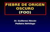 FIEBRE DE ORIGEN OSCURO (FOO) Dr. Guillermo Rincón Pediatra Nefrólogo.