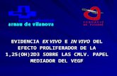 EVIDENCIA EX VIVO E IN VIVO DEL EFECTO PROLIFERADOR DE LA 1,25(OH)2D3 SOBRE LAS CMLV. PAPEL MEDIADOR DEL VEGF.
