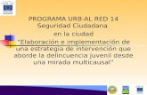 PROGRAMA URB-AL RED 14 Seguridad Ciudadana en la ciudad Elaboración e implementación de una estrategia de intervención que aborde la delincuencia juvenil.