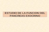 ESTUDIO DE LA FUNCION DEL PANCREAS EXOCRINO. Funciones del páncreas Endocrina Exocrina.
