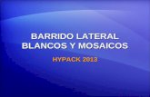 BARRIDO LATERAL BLANCOS Y MOSAICOS HYPACK 2013. Flujo de Datos Mosaico HYSWEEP SURVEY Sonar de Barrido Lateral SURVEY PROGRAMA MOSAICO BARRIDO LATERAL.