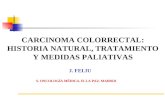 CARCINOMA COLORRECTAL: HISTORIA NATURAL, TRATAMIENTO Y MEDIDAS PALIATIVAS J. FELIU S. ONCOLOGÍA MÉDICA. H. LA PAZ. MADRID.
