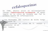 En 1948, Brotzu aisló al microorganismo (hongo) Cephalosporium acremonium, de aguas negras en la costa de Cerdeña que fue la primera fuente de cefalosporinas.