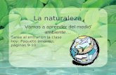 1 La naturaleza Vamos a aprender del medio ambiente… Tarea al entrar en la clase hoy: Paquete amarillo, páginas 9-10.