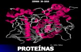 Lic. Sofìa Tobìas SEMANA 30-2010. PROTEÍNAS Compuestos de masa molar elevada, formados en su mayor parte o totalmente de cadenas de amino ácidos. PROTEIOS=primero.