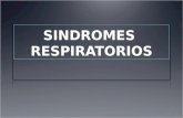 SINDROMES RESPIRATORIOS. Síndrome Conjunto de síntomas y signos asociados a determinadas alteraciones funcionales y morfológicas que, a su vez, son comunes.