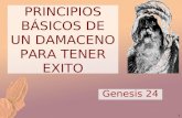 1 PRINCIPIOS BÁSICOS DE UN DAMACENO PARA TENER EXITO Genesis 24.
