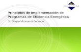 Principios de Implementación de Programas de Eficiencia Energética Dr. Sergio Musmanni Sobrado.
