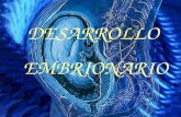DESARROLLO EMBRIONARIO. DESARROLLO INDIRECTO: Metamorfosis DIRECTO: membranas embrionarias Amnios Alantoides Corion Saco vitelino.