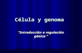Célula y genoma Introducción a regulación génica Introducción a regulación génica.