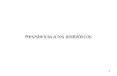 1 Resistencia a los antibióticos. 2 Algunos gérmenes son naturalmente resistentes a las penicilinas Otros pueden adquirir resistencia por distintos mecanismos.