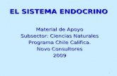1 EL SISTEMA ENDOCRINO Material de Apoyo Subsector: Ciencias Naturales Programa Chile Califica. Novo Consultores 2009.