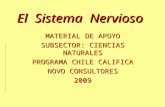 El Sistema Nervioso MATERIAL DE APOYO SUBSECTOR: CIENCIAS NATURALES PROGRAMA CHILE CALIFICA NOVO CONSULTORES 2009.