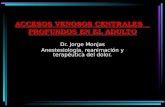 ACCESOS VENOSOS CENTRALES PROFUNDOS EN EL ADULTO Dr. Jorge Monjas Anestesiología, reanimación y terapéutica del dolor.