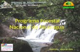 Programa Forestal Nacional de Nicaragua INAFOR, mayo de 2008.