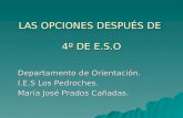 LAS OPCIONES DESPUÉS DE 4º DE E.S.O Departamento de Orientación. I.E.S Los Pedroches. María José Prados Cañadas.