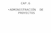CAP.6 ADMINISTRACIÓN DE PROYECTOS. La aplicación racional de conocimientos, habilidades, herramientas y técnicas para alcanzar los objetivos de un proyecto,