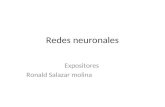 Redes neuronales Expositores Ronald Salazar molina.