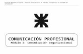 Facultad Regional La Plata - Analista Universitario de Sistemas e Ingeniería en Sistemas de Información COMUNICACIÓN PROFESIONAL Módulo 2: Comunicación.