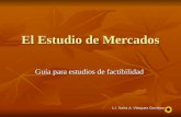 L.I. Saira A. Vásquez Gamboa El Estudio de Mercados Guía para estudios de factibilidad.