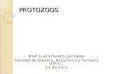 PROTOZOOS Prof. Luis Ernesto González Facultad de Química, Bioquímica y Farmacia U.N.S.L. 11-08-2011.