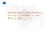 Reanimación Cardiopulmonar y Atención Cardiovascular en Emergencia.