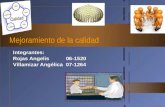 Mejoramiento de la calidad Integrantes: Rojas Angelis 06-1520 Villamizar Angélica 07-1264.