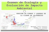Examen de Ecología y Evaluación de Impacto Ambiental Docente_ Pabla Arquero Alumna_ M. Soledad Pellegrini O. EROSION EN CERROS Y LADERAS DE LA CIUDAD DE.