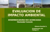 EVALUACION DE IMPACTO AMBIENTAL DESEMBOCADURA RIO ACONCAGUA Humedal Concón Ximena Kuschel A. Ximena Kuschel A. Arquitectura del Paisaje IV.