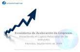 Presentacion Capital Relacional En Las PyMes