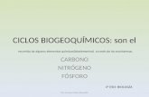 CICLOS BIOGEOQUÍMICOS: son el recorrido de algunos elementos químicos(bioelementos) a través de los ecosistemas. CARBONO NITRÓGENO FÓSFORO Por Carmen Pérez.