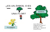¿ES UN ÁRBOL O ES UNA FLOR? FLORES ÁRBOL Carol Martínez. Adaptación sobre el trabajo de Paul Widergren: Spanish PowerPoints.