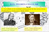 1.- La célula es la unidad estructural de los seres vivos (Schleiden y Schwann) 1838-1839 8.15.-TEORÍA CELULAR 1838: Toda planta está formada por células.