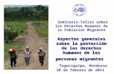 Aspectos generales sobre la protección de los derechos humanos de las personas migrantes Seminario-Taller sobre los Derechos Humanos de la Población Migrante.