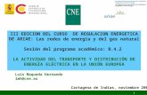 1 III EDICION DEL CURSO DE REGULACION ENERGETICA DE ARIAE: Las redes de energía y del gas natural Sesión del programa académico: B.4.2 LA ACTIVIDAD DEL.