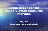 Cómo esconder un pulpo y otras criaturas marinas U3, L4 Palabras de vocabulario.