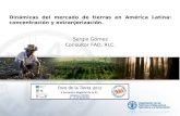 Dinámicas del mercado de tierras en América Latina: concentración y extranjerización. Sergio Gómez Consultor FAO, RLC.