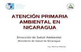 ATENCIÓN PRIMARIA AMBIENTAL EN NICARAGUA Organización Panamericana de la Salud Dirección de Salud Ambiental Ministerio de Salud de Nicaragua Ing. Maritza.