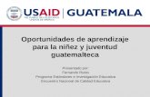 Oportunidades de aprendizaje para la niñez y juventud guatemalteca Presentado por: Fernando Rubio Programa Estándares e Investigación Educativa Encuentro.