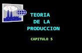 TEORIA DE LA PRODUCCION CAPITULO 5. El capítulo muestra la relación entre insumos y productos utilizando la función de producción, es el primer paso para.