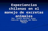 Experiencias chilenas en el manejo de excretas animales Dra. Zandra Monreal Araya Comisión Nacional del Medio Ambiente Chile.